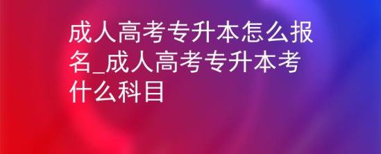 成人高考专升本怎么报名_成人高考专升本考什么科目