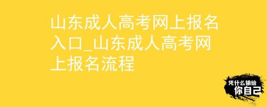 山东成人高考网上报名入口_山东成人高考网上报名流程