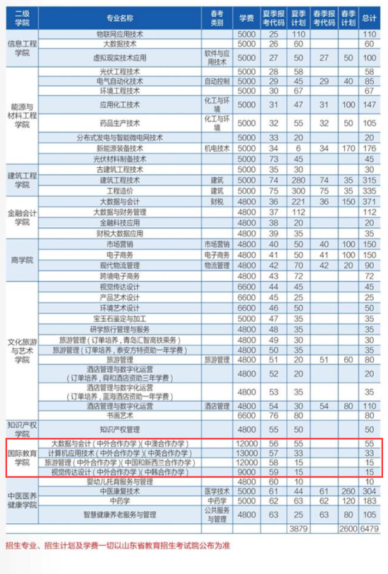 山东理工职业学院中外合作办学专业有哪些？