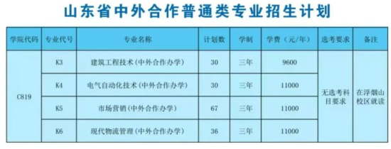 2023山東科技職業(yè)學院中外合作辦學招生計劃-各專業(yè)招生人數(shù)是多少