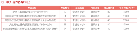 濱州職業(yè)學院中外合作辦學專業(yè)有哪些？