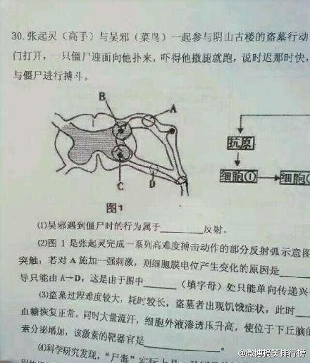 驚呆了！看看