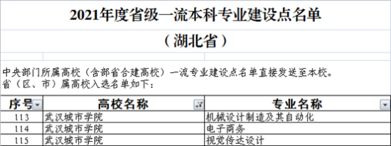 武漢城市學(xué)院王牌專業(yè)_最好的專業(yè)是什么