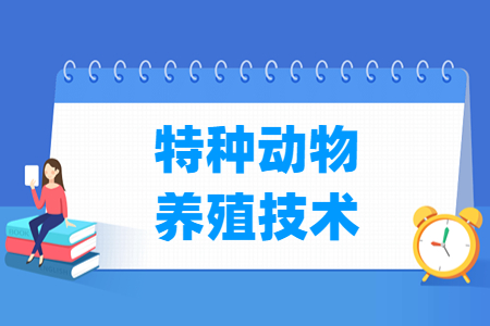 特種動(dòng)物養(yǎng)殖技術(shù)專業(yè)就業(yè)方向與就業(yè)崗位有哪些