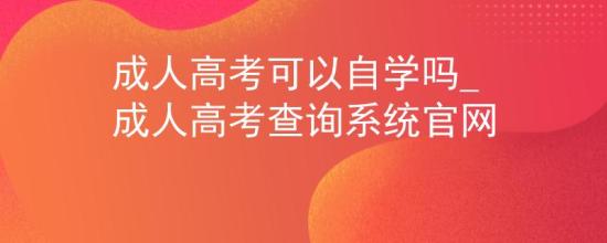 成人高考可以自学吗_成人高考查询系统官网