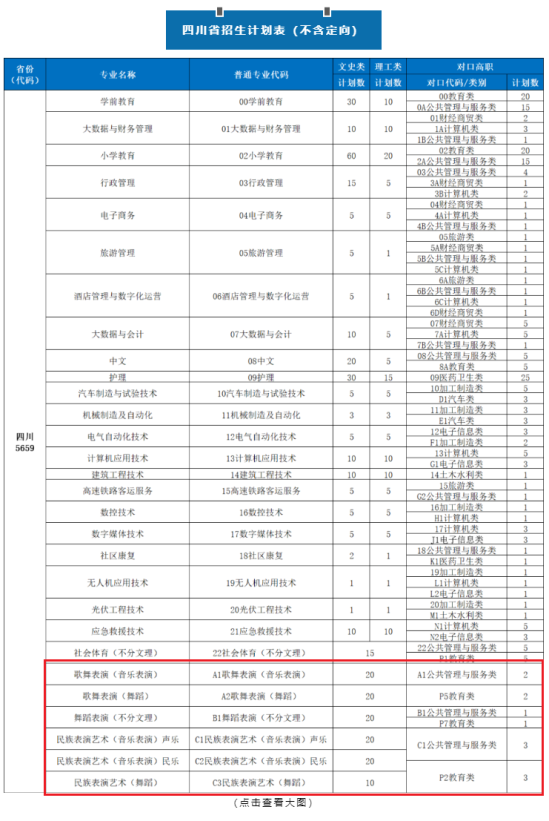 2023四川應用技術職業(yè)學院藝術類招生計劃