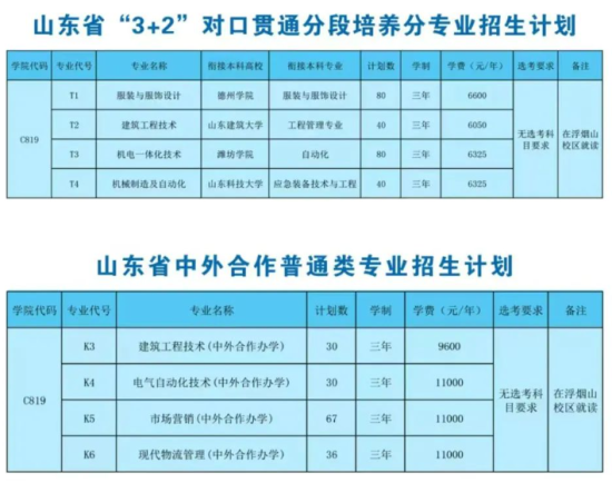 山東科技職業(yè)學(xué)院有哪些專業(yè)？