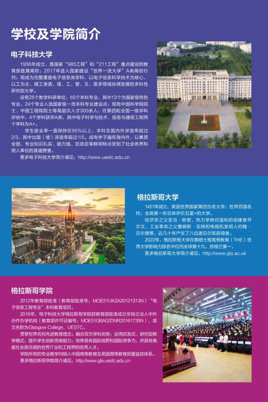 2023电子科技大学中外合作办学招生简章