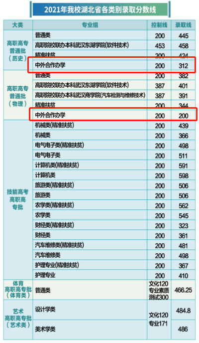 2022武汉软件工程职业学院中外合作办学分数线（含2021年）