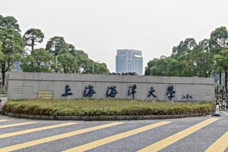 2023年上海460分能上什么大学？