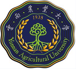 2023云南理科530分能上什么大學(xué)