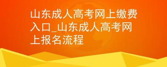 山东成人高考网上缴费入口_山东成人高考网上报名流程