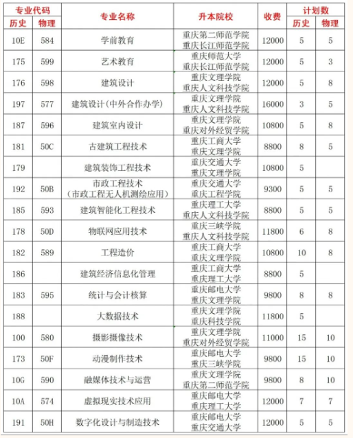 重庆艺术工程职业学院有哪些专业？