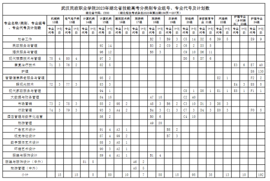 武漢民政職業(yè)學院有哪些專業(yè)？