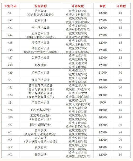 重慶藝術(shù)工程職業(yè)學(xué)院有哪些專業(yè)？