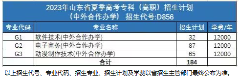 山东电子职业技术学院有哪些专业？