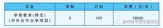 2023沧州幼儿师范高等专科学校中外合作办学学费多少钱一年-各专业收费标准