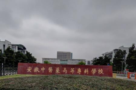 安徽中医药高等专科学校专业排名_有哪些专业比较好