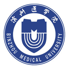 2023滨州医学院中外合作办学学费多少钱一年-各专业收费标准