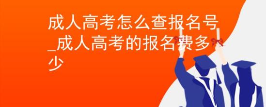 成人高考怎么查报名号_成人高考的报名费多少