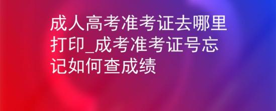 成人高考準(zhǔn)考證去哪里打印_成考準(zhǔn)考證號忘記如何查成績