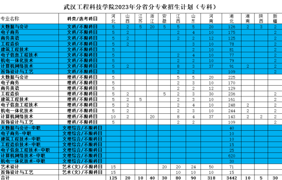 武汉工程科技学院有专科专业吗