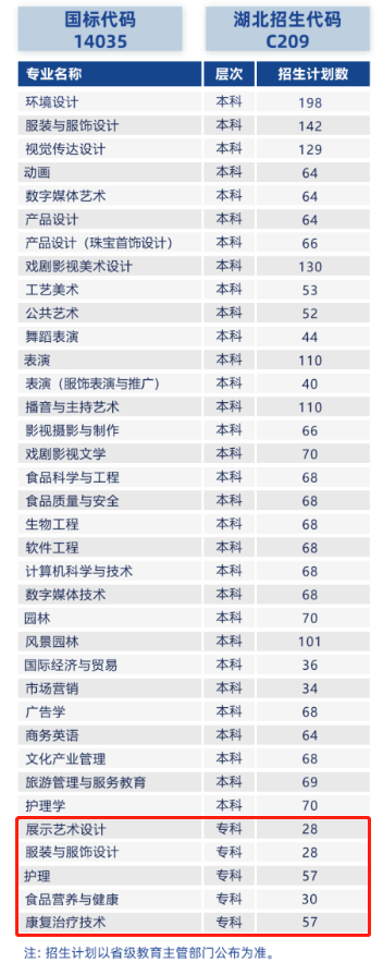 武漢設計工程學院有?？茖I(yè)嗎