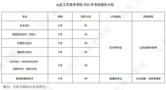 山东工艺美术学院有专科专业吗