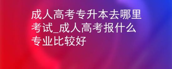 成人高考專升本去哪里考試_成人高考報什么專業(yè)比較好