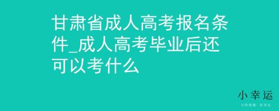 甘肅省成人高考報(bào)名條件_成人高考畢業(yè)后還可以考什么