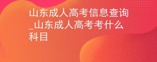 山東成人高考信息查詢_山東成人高考考什么科目