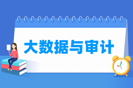 大数据与审计专业就业方向与就业岗位有哪些