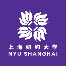 上海紐約大學是985還是211大學？