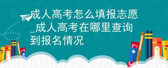 成人高考怎么填報(bào)志愿_成人高考在哪里查詢到報(bào)名情況