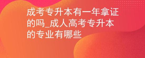 成考專升本有一年拿證的嗎_成人高考專升本的專業(yè)有哪些