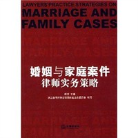  婚姻与家庭案件律师实务策略 