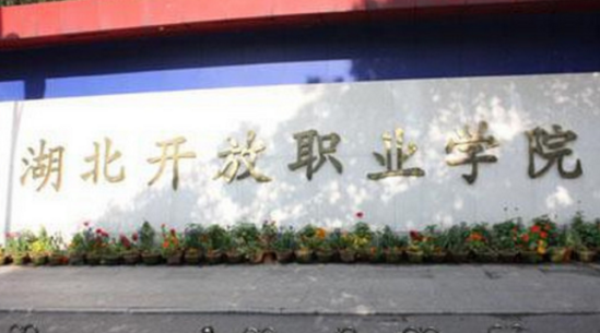 湖北開放職業(yè)學(xué)院是公辦還是民辦大學(xué)？