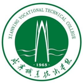 咸宁职业技术学院是公办还是民办大学？