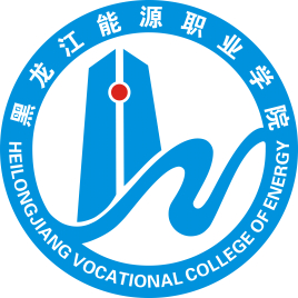 黑龙江能源职业学院是公办还是民办大学？