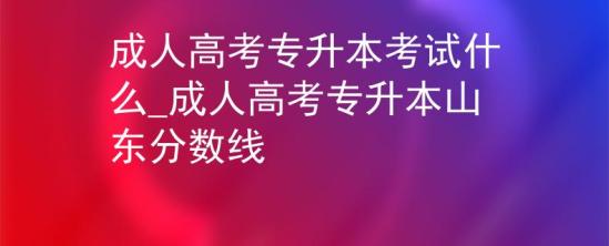 成人高考专升本考试什么_成人高考专升本山东分数线