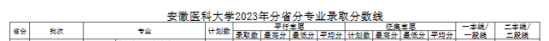 2023安徽医科大学中外合作办学分数线（含2021-2022历年）