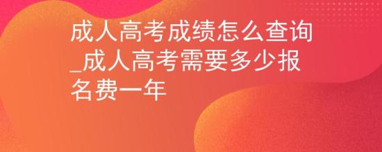 成人高考成績怎么查詢_成人高考需要多少報名費一年