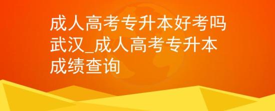 成人高考專升本好考嗎武漢_成人高考專升本成績查詢