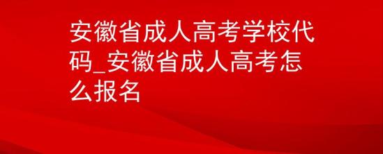 安徽省成人高考學(xué)校代碼_安徽省成人高考怎么報(bào)名