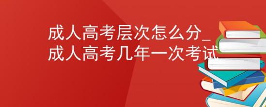 成人高考層次怎么分_成人高考幾年一次考試