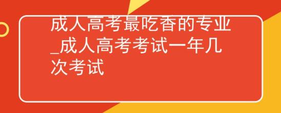 成人高考最吃香的專業(yè)_成人高考考試一年幾次考試