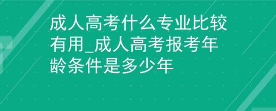 成人高考什么專業(yè)比較有用_成人高考報考年齡條件是多少年