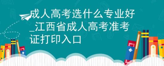 成人高考選什么專業(yè)好_江西省成人高考準(zhǔn)考證打印入口