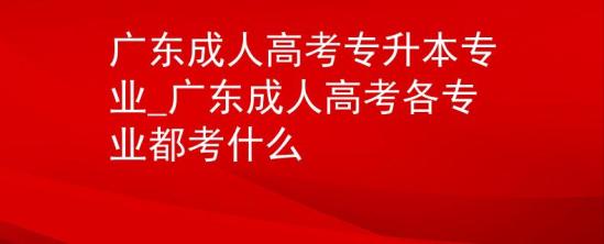 廣東成人高考專升本專業(yè)_廣東成人高考各專業(yè)都考什么