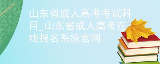 山東省成人高考考試科目_山東省成人高考在線報(bào)名系統(tǒng)官網(wǎng)